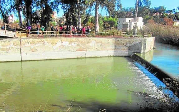 El Consistorio evita una sanción de la CHS por la basura en el cauce del río