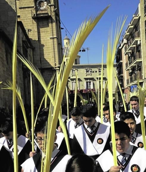 Palmas por el Año de la Misericordia