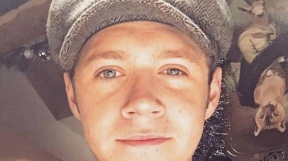 Niall Horan, de One Direction, se enamora de una cantante muy famosa