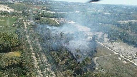 Sofocado un incendio en una zona de matorral en Elche