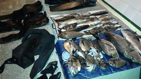 Decomisan más de 15 kilos de pescado a dos presuntos furtivos en Xàbia