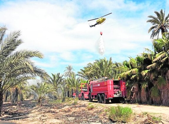 Arden más de cuatro hectáreas de matorral y palmeras junto al Hondo