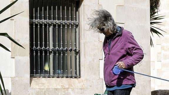 Alicante, en alerta por fuerte viento