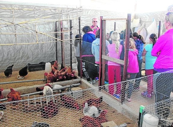 Pérez cede los terrenos del Museo de la Huerta a una asociación sin ánimo de lucro