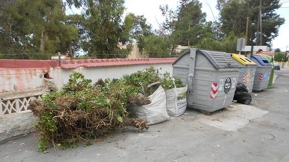 San Vicente ahorra 15.000 euros en el tratamiento de los restos de poda