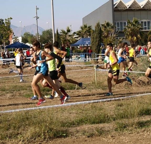 El bipartito acusa a algunos clubes de aportar facturas irregulares en 2015