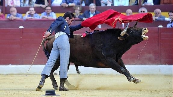 Festival de orejas y rabos contra el cáncer