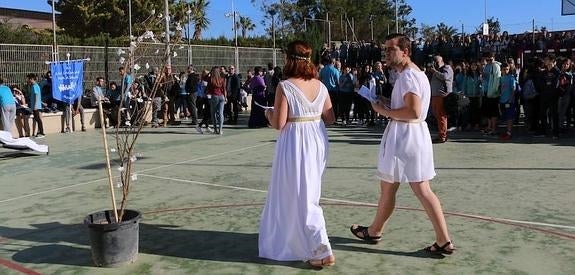 Alumnos y centros se vuelcan con las Olimpiadas Clásicas