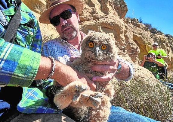 Los reyes de Sierra Escalona