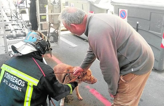 Rescatan a un perro tras pasar cuatro días en un balcón