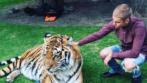 Justin Bieber hace el tigre