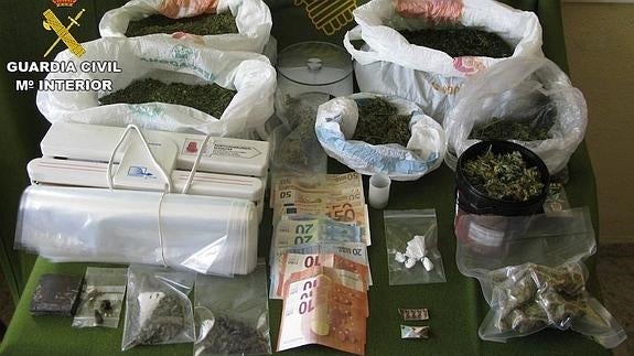 Dos detenidos por cultivar 3,6 kilos de marihuana en Xàbia