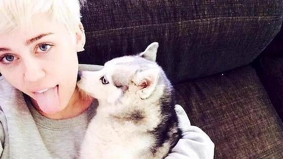 Miley Cyrus recibe el detalle más dulce de Liam Hemsworth en un día muy triste