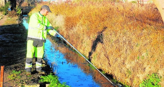 Mazarrón y Águilas se blindan contra las picaduras de mosquito