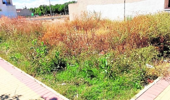 Los socialistas denuncian el mal estado de solares y zonas verdes municipales