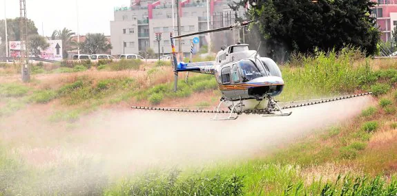 Guerra Aerea Contra El Mosquito Tigre La Verdad