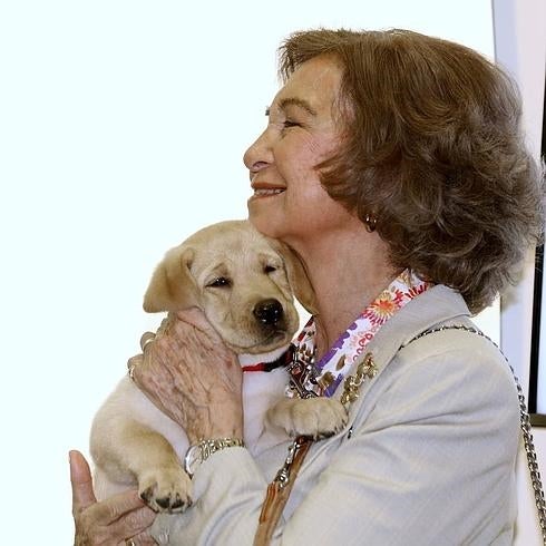 La Reina Sofía inaugura el jueves un centro de animales exóticos