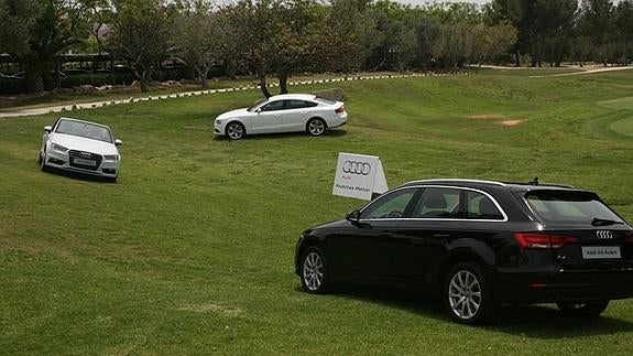 Fiesta del golf con el sello de calidad de Audi