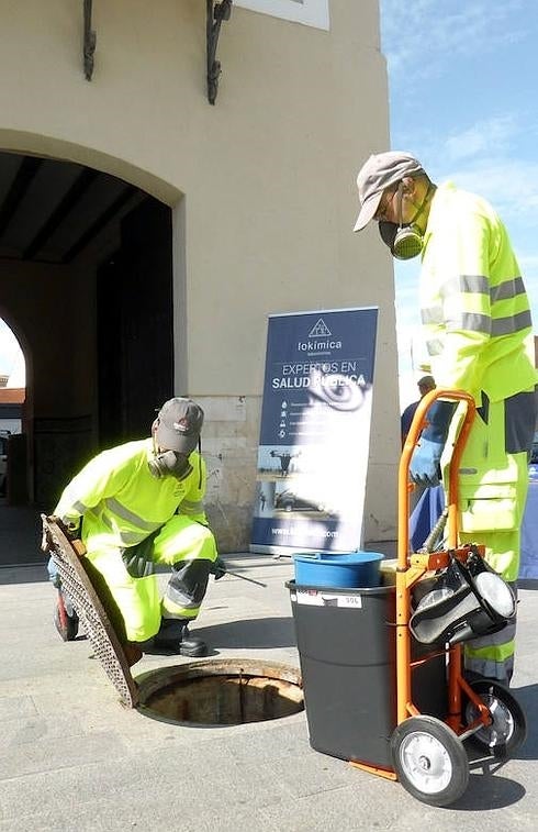 Intensifican la campaña para eliminar ratas y cucharachas en todo el municipio