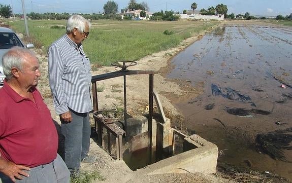 Regantes de Callosa denuncian que no les ha llegado la tanda de esta semana
