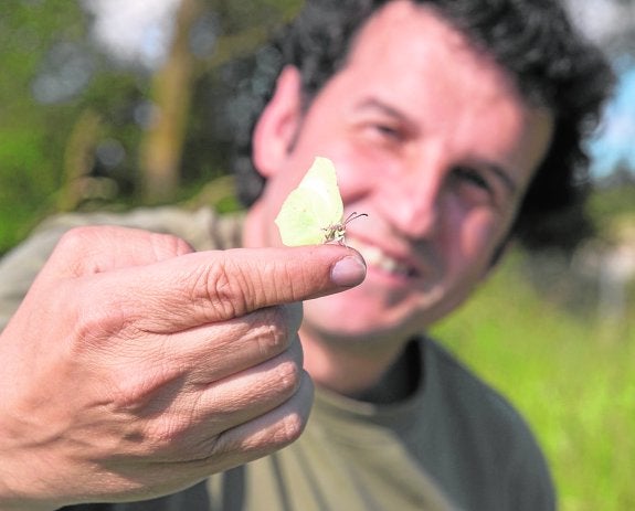 Las mariposas dicen «sí, quiero»