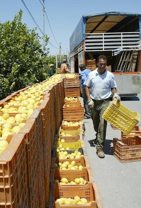 Agricultura denuncia «falta de coordinación» del Ministerio frente a la importación de plagas