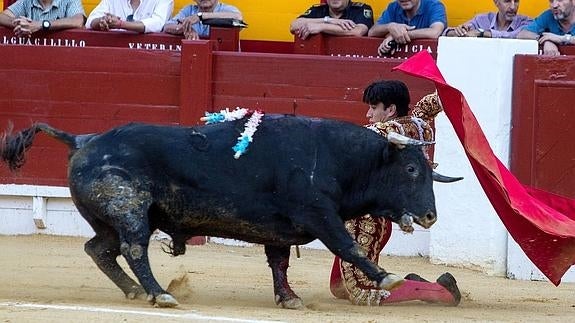 Bonig advierte de un cambio en la ley de Espectáculos para prohibir los toros