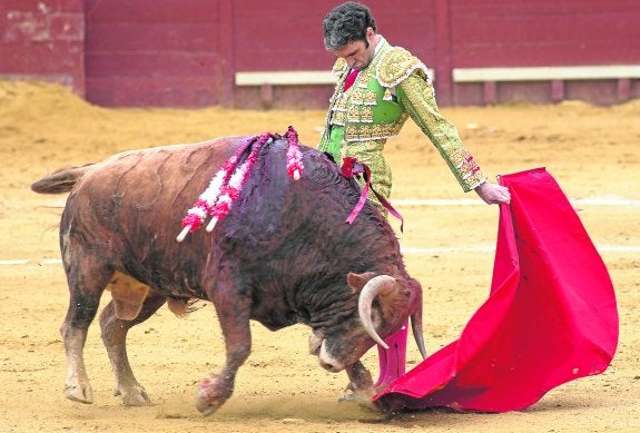 La fiebre por ver a José Tomás agota los abonos para la Feria de Hogueras