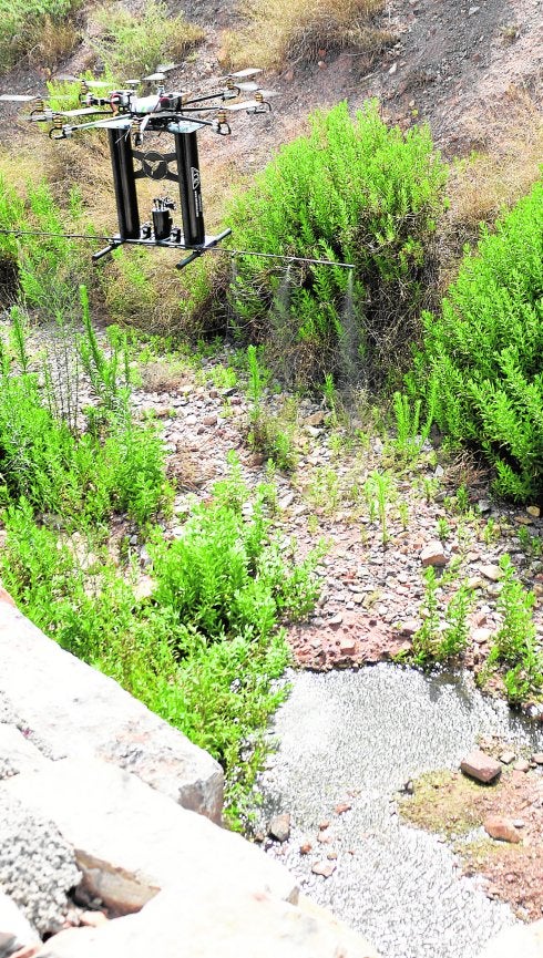 Batida con drones sobre el mosquito tigre