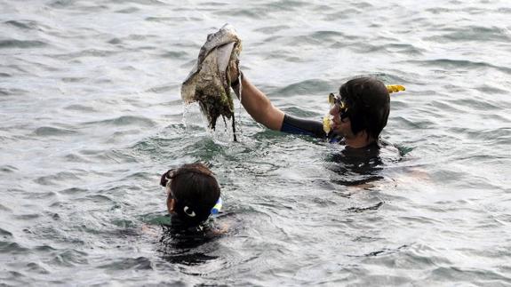 El Puerto de Alicante en el ranking 'Banderas Negras' de Ecologistas en Acción