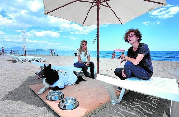 Alicante presume de playas