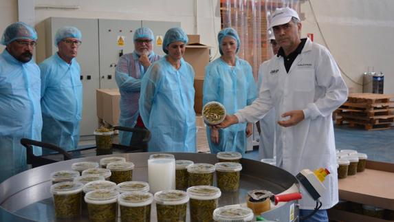 Veracruz: «El PSOE es el único partido que garantiza el cambio sensato que necesitamos»