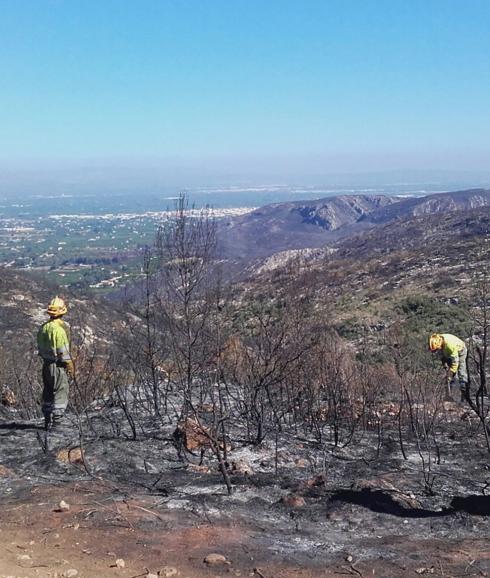 Extinguido el incendio forestal de Callosa d'En Sarrià