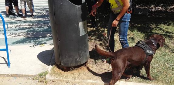 Máxima seguridad en la plaza de los Luceros