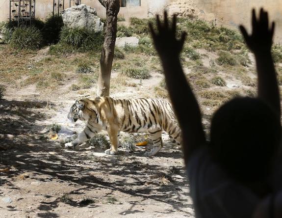 Terra Natura asegura que el protocolo de seguridad en el parque es «muy estricto»