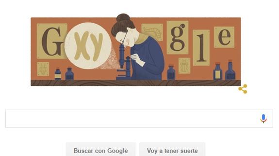 Nettie Stevens descubre el origen del sexo en el doodle de Google