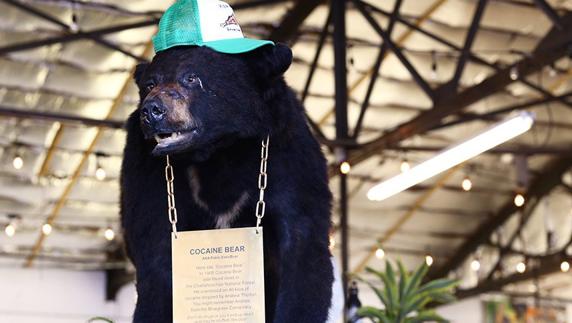 La épica historia detrás de 'Cocaine Bear'