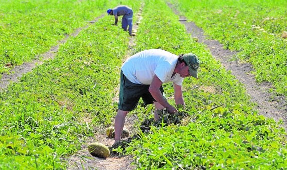 Respaldo unánime al proyecto del Parque Agrario de Carrizales