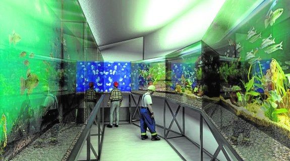 El remodelado acuario de la Plaza Nueva estará listo para la campaña de Navidad