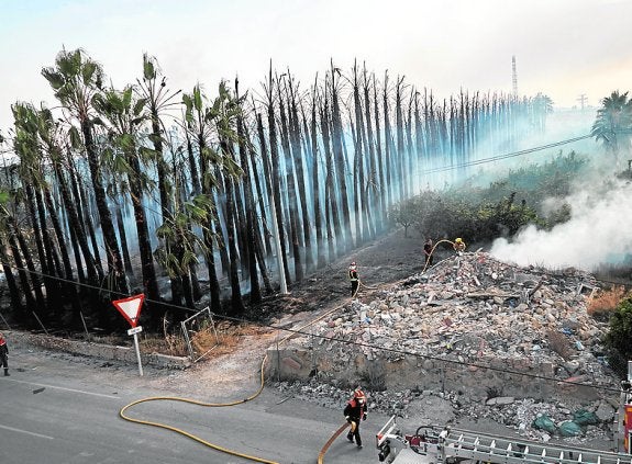Un incendio calcina decenas de palmeras en un vivero de Orihuela