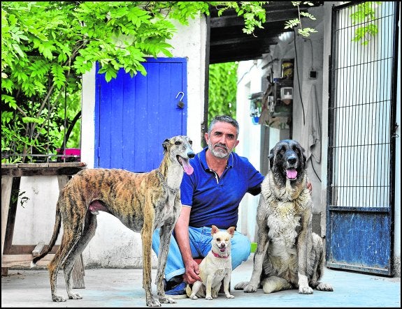 «Yo, más que estimulantes, lo que necesito son frenos»