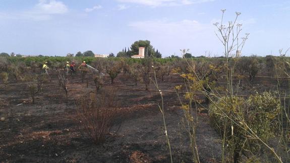 Extinguido el fuego de Ondara y estabilizado el de Adsubia