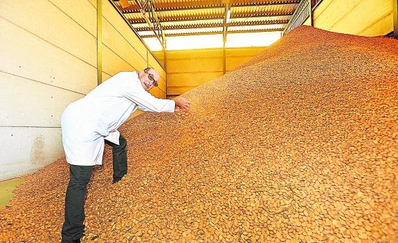 La importación de almendras casi iguala ya la de calzado en la provincia