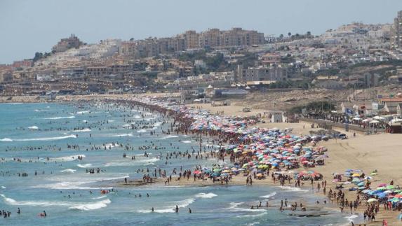 El Ayuntamiento de Torrevieja no teme la llegada de escualos a sus costas