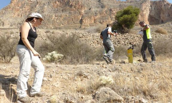 La empresa del control de plagas fumiga el cactus de Arizona para evitar su propagación