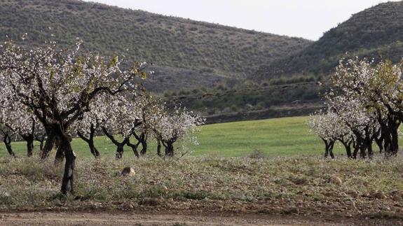 El Consell promocionará el turismo de interior en más de una veintena de destinos de litoral