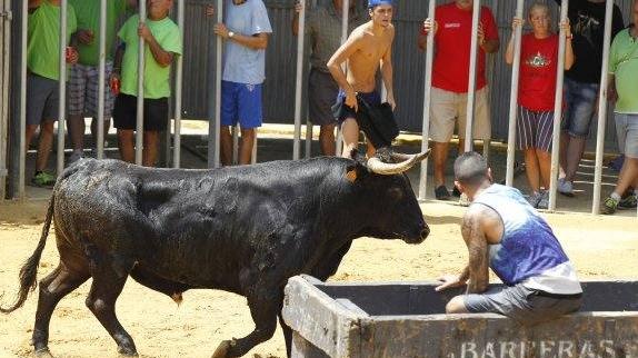 Abren expediente por el menor herido en los bous al carrer de Calpe