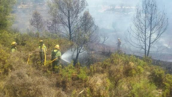 Controlado el incendio de Torremanzanas