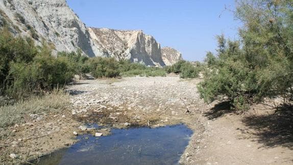 Los pueblos de la comarca del río Mula se unen por el «grave estado» del cauce