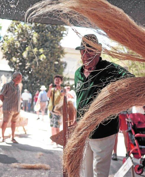 El cáñamo gana puntos para el BIC